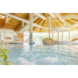 Celodenné vstupy do bazénového a saunového sveta Wellness Hotela Patince****
