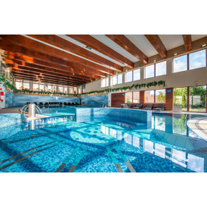 Celodenný relax vo vodnom a saunovom svete Wellness Hotela Diplomat**** v Rajeckých Tepliciach (dlhá platnosť)