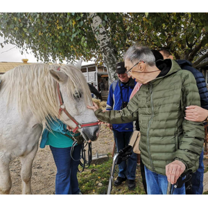 Hipoterapia - terapia s koňmi a zážitkové učenie pre mladých a dospelých ľudí so špeciálnymi potrebami