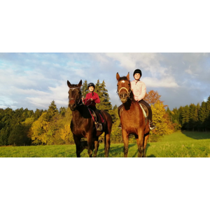 Jazda na koni alebo v konskom voze v Strážovských vrchoch