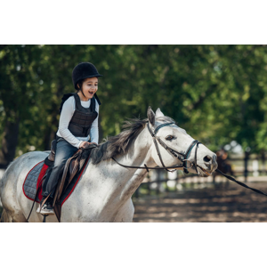 Lekcie jazdenia na koni s inštruktorom pre deti aj dospelých