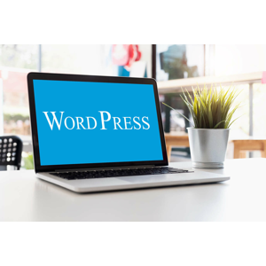 Online kurz tvorby webstránok vo WordPress od A po Z pre začiatočníkov