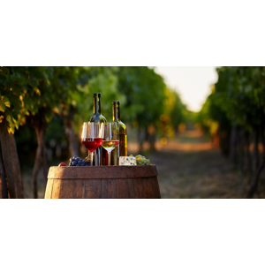 Pobyt s degustáciou a neobmedzenou konzumáciou vína vo Vinárstve Lintner až do októbra 2023