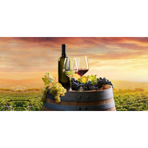 Pobyt s degustáciou a neobmedzenou konzumáciou vína vo Vinárstve Lintner na Znojemsku s platnosťou až do júna 2024