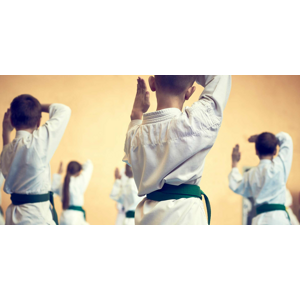 Tréningy tradičného okinawského Goju-ry Karate pre deti v Habu Dojo Bratislava