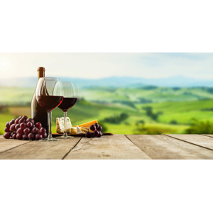 Vinársky pobyt na Južnej Morave v penzióne U palečků s vínnou pivnicou a neobmedzenou konzumáciou vybraných vín s bohatým rautom