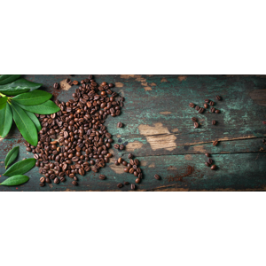 Výberové kávy z najlepších kávových oblastí z celého sveta – od Brazílie až po Etiópiu