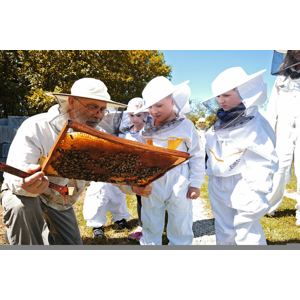 Zážitková návšteva včelej farmy s možnosťou výroby medových mydielok, ozdôb alebo sviečok z vosku